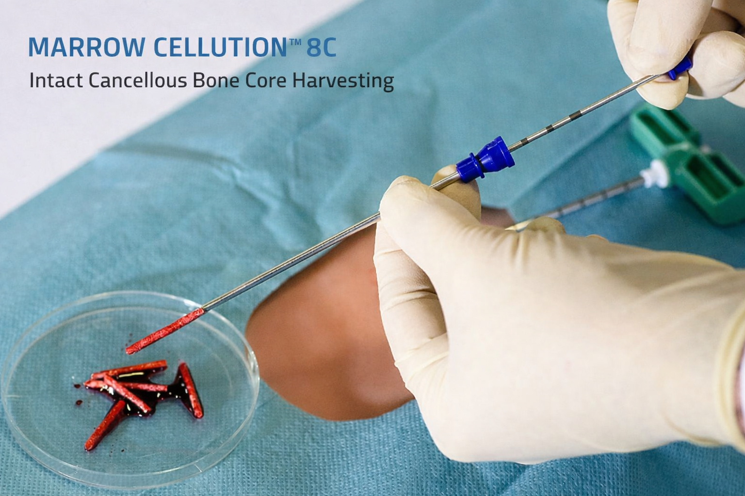 MARROW CELLUTION™ 8C